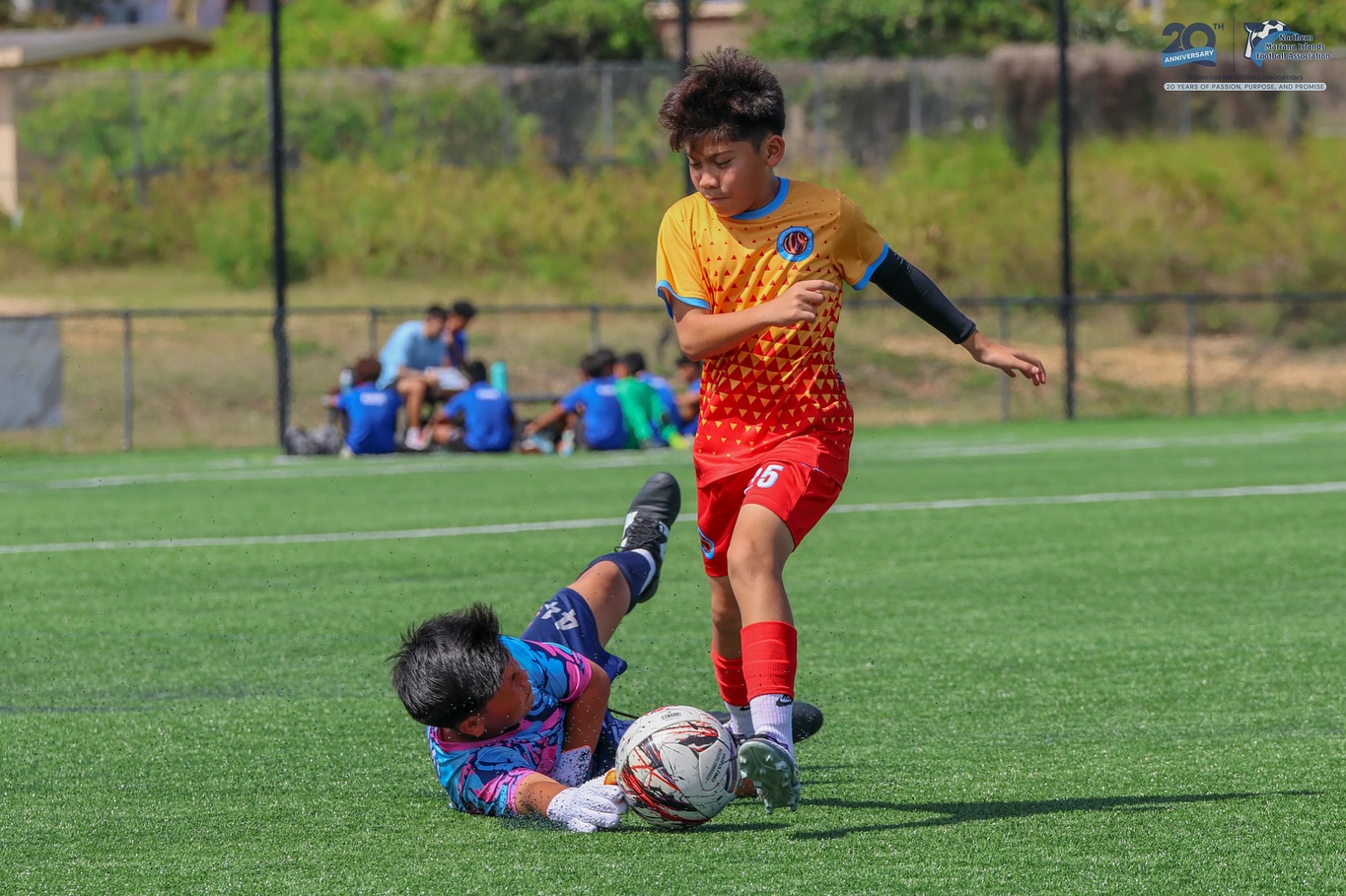 No photo description available.