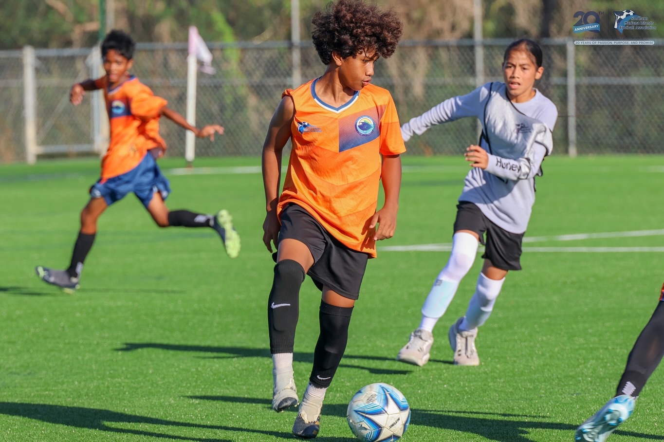 No photo description available.