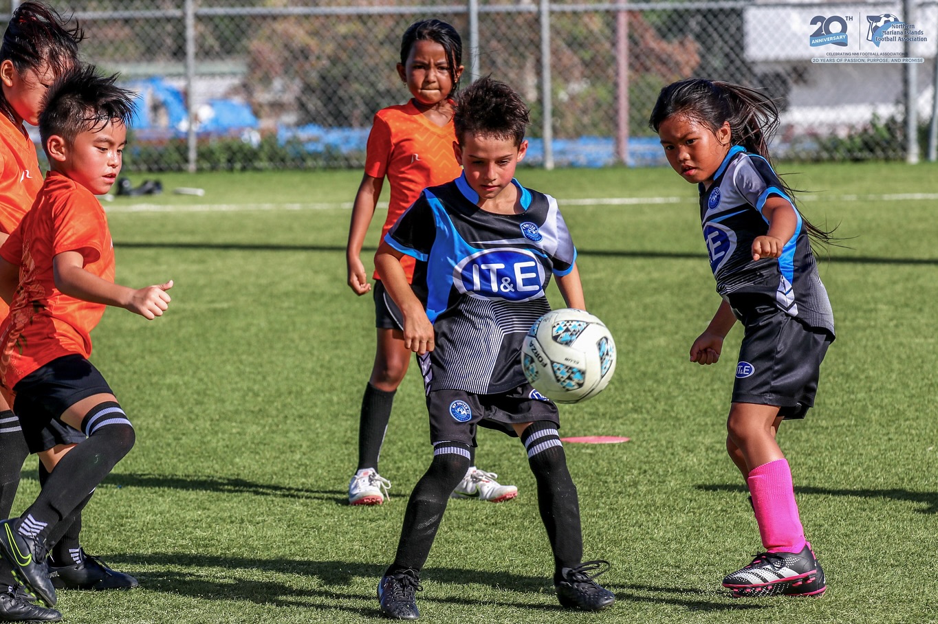 No photo description available.