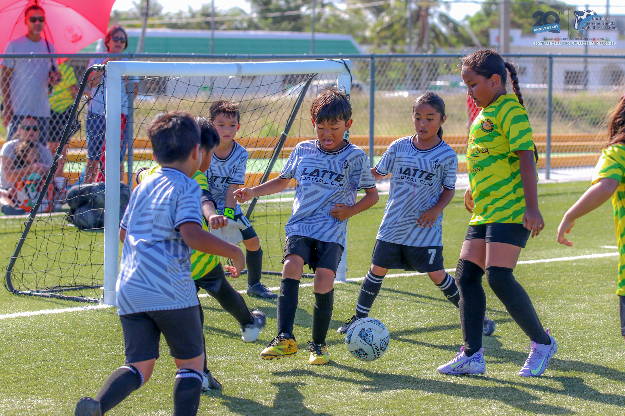 No photo description available.