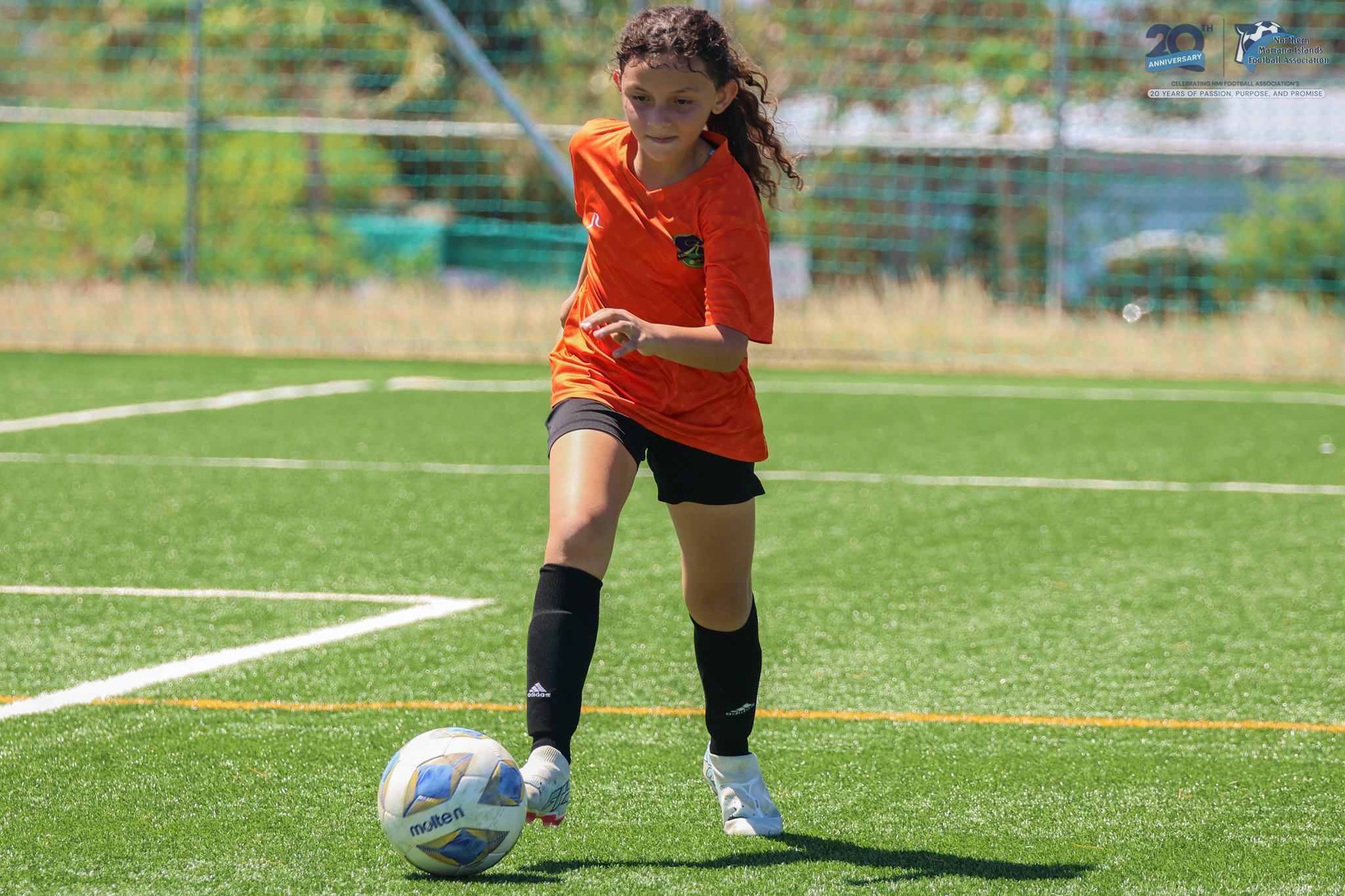 No photo description available.