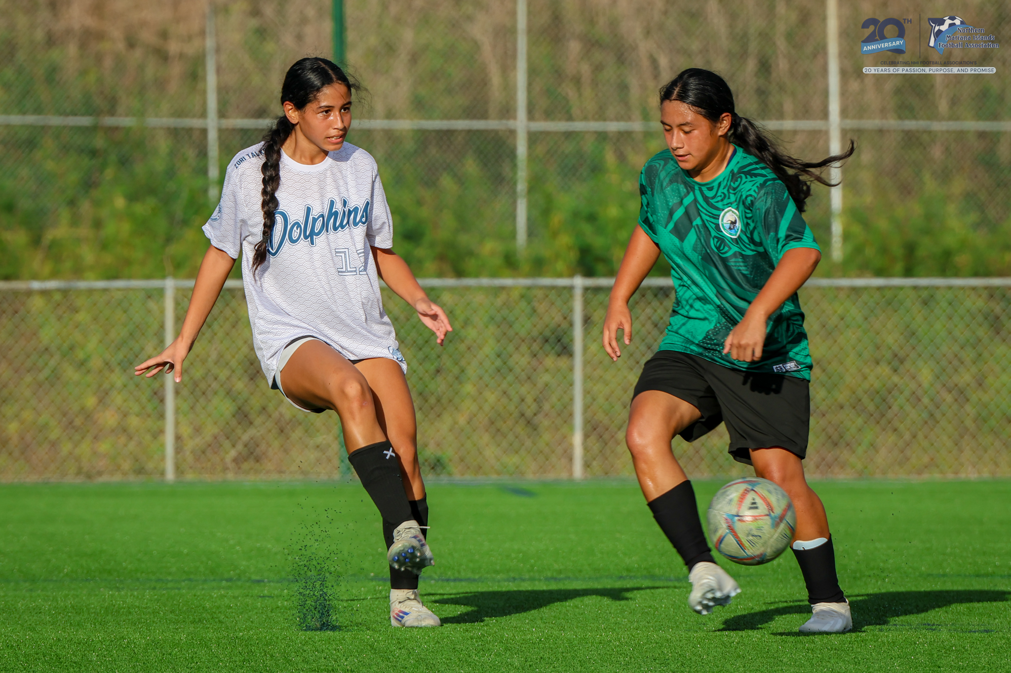 NMIFA - 497119914_1254362673356853_3265488842106387965_n