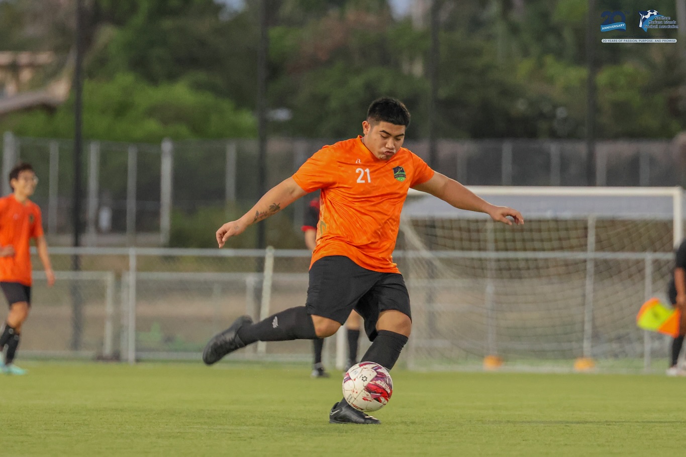 No photo description available.