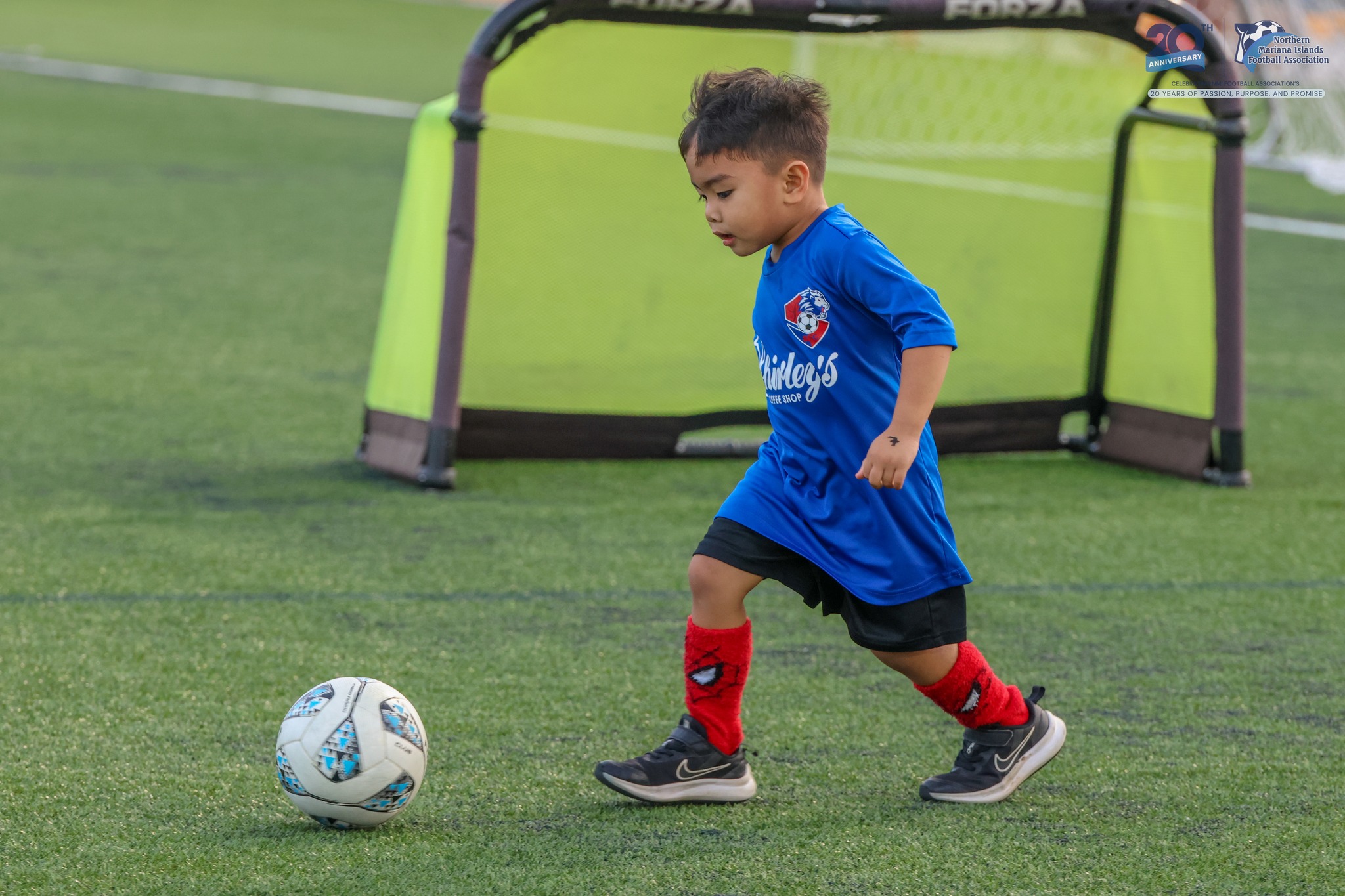 No photo description available.