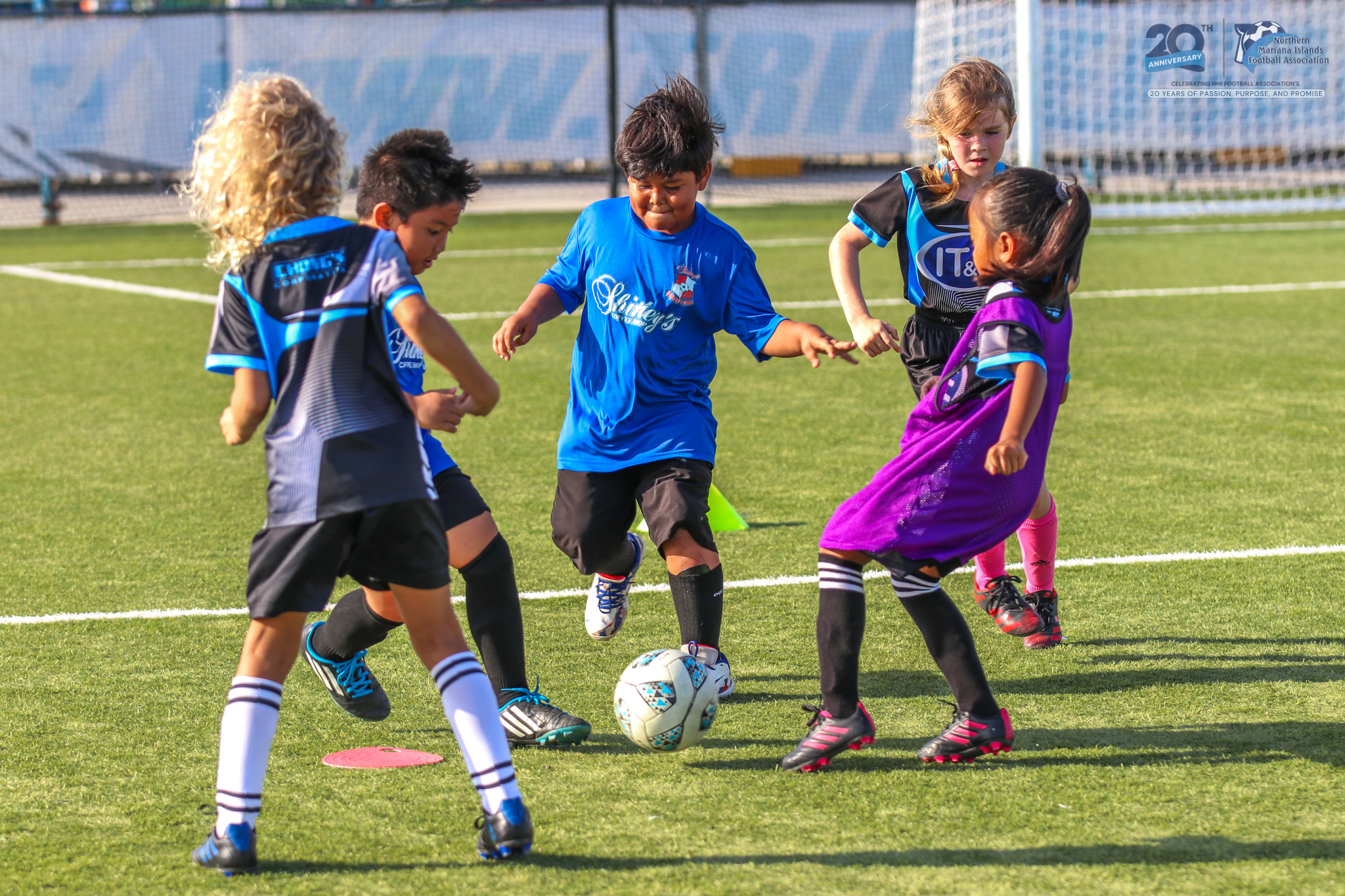 No photo description available.