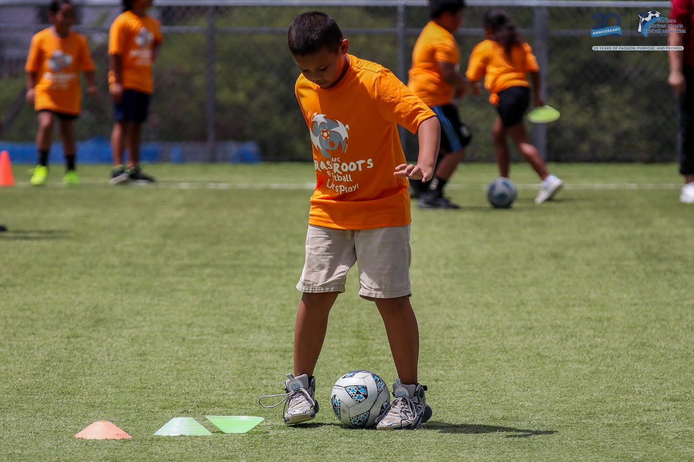 No photo description available.