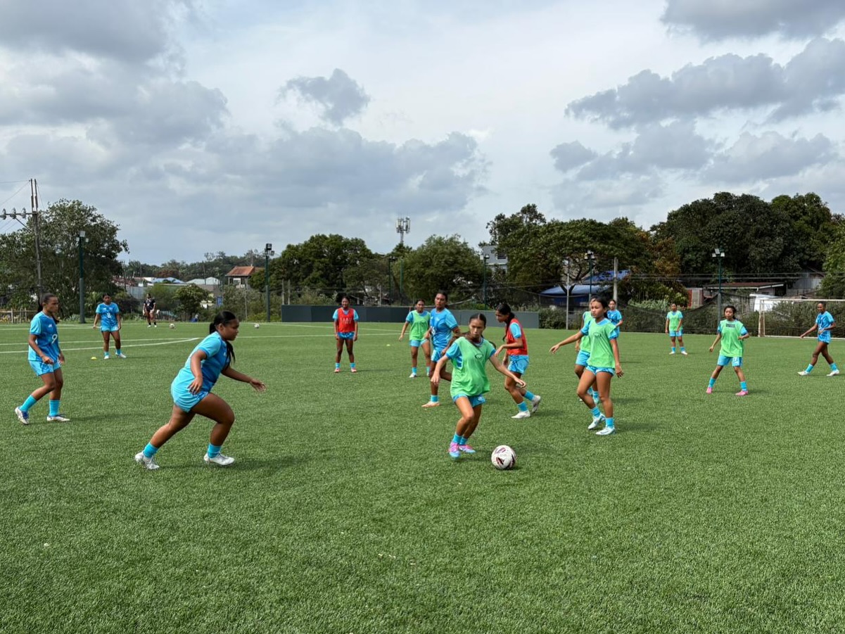 May be an image of 13 people, people playing soccer, people playing football and grass