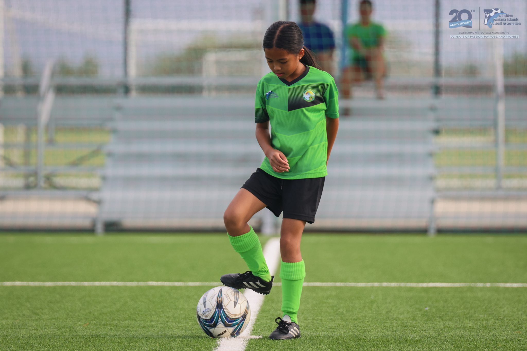 May be an image of soccer, football, grass and text