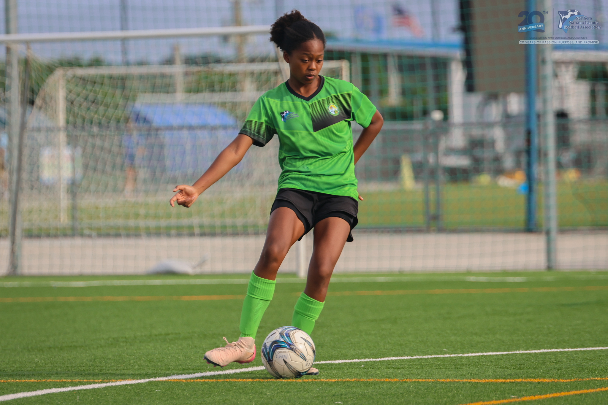 May be an image of soccer, football, grass and text