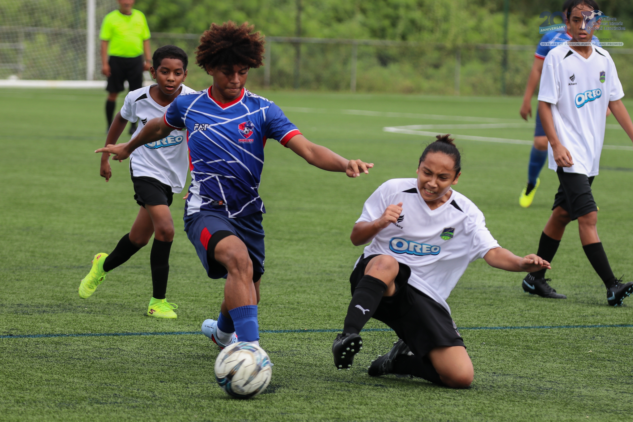 May be an image of football, soccer, grass and text