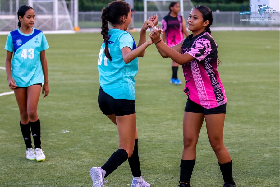 May be an image of soccer, football and text