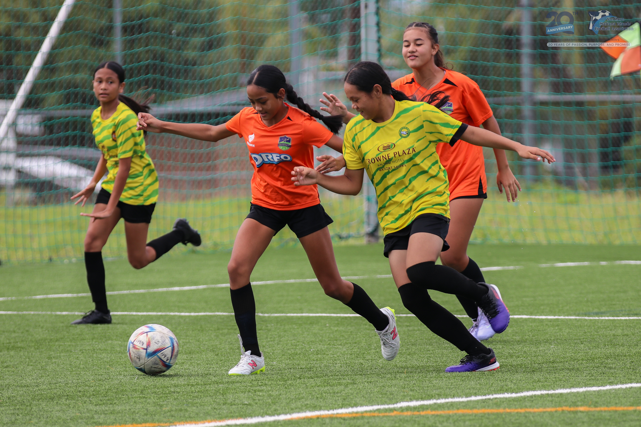 May be an image of football, soccer, grass and text