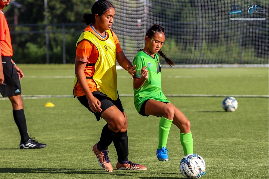 May be an image of soccer, football, grass and text