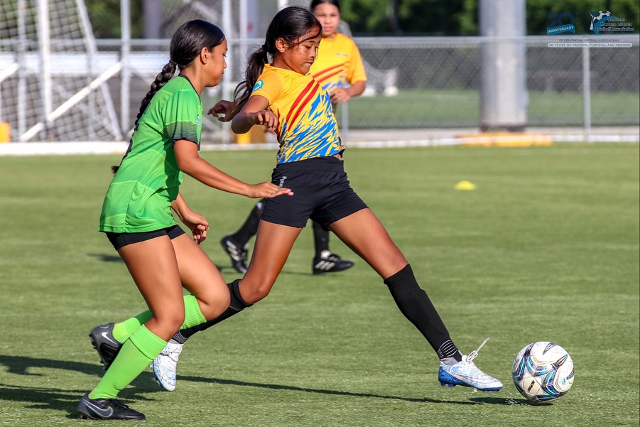 May be an image of football, soccer, grass and text