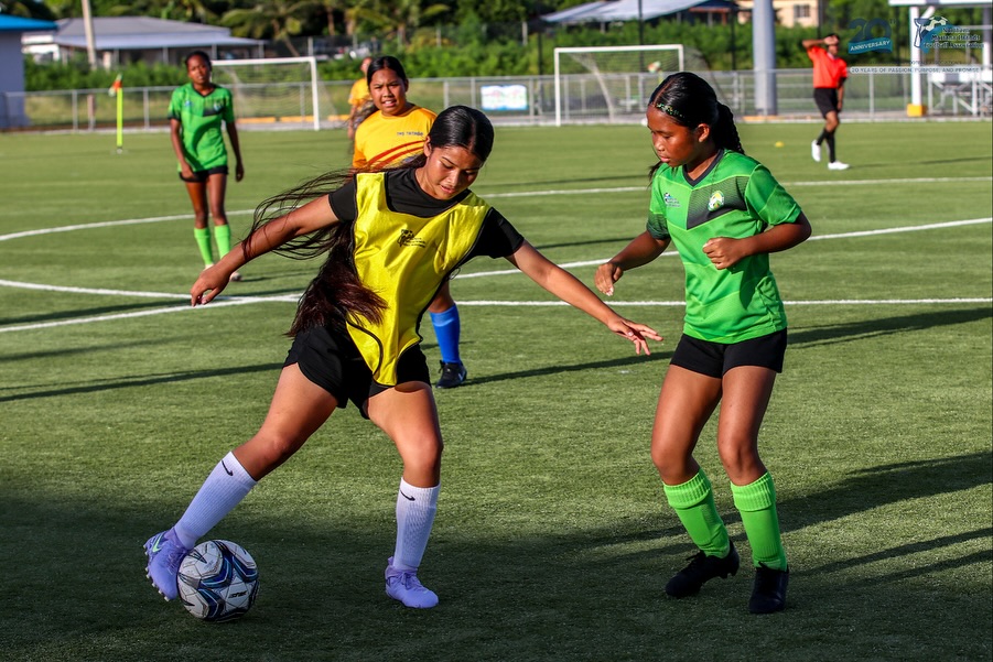 May be an image of soccer, football, grass and text