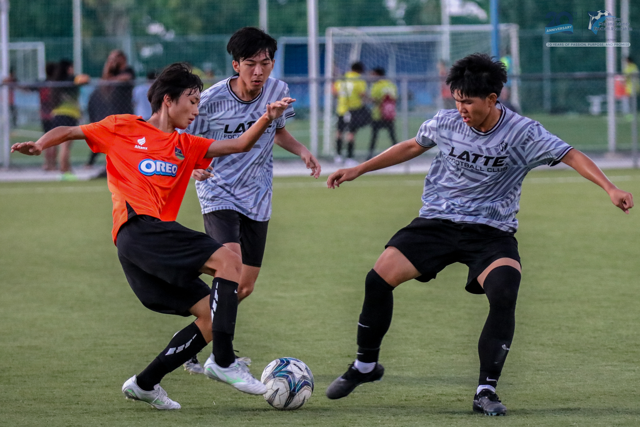 May be an image of soccer, football and text