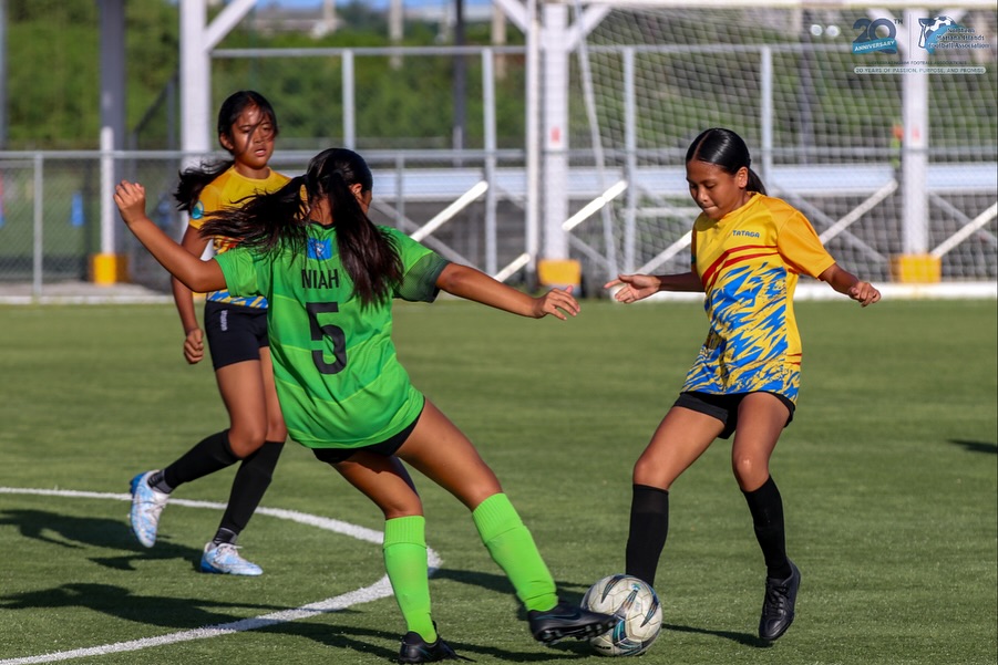 May be an image of soccer, football and text