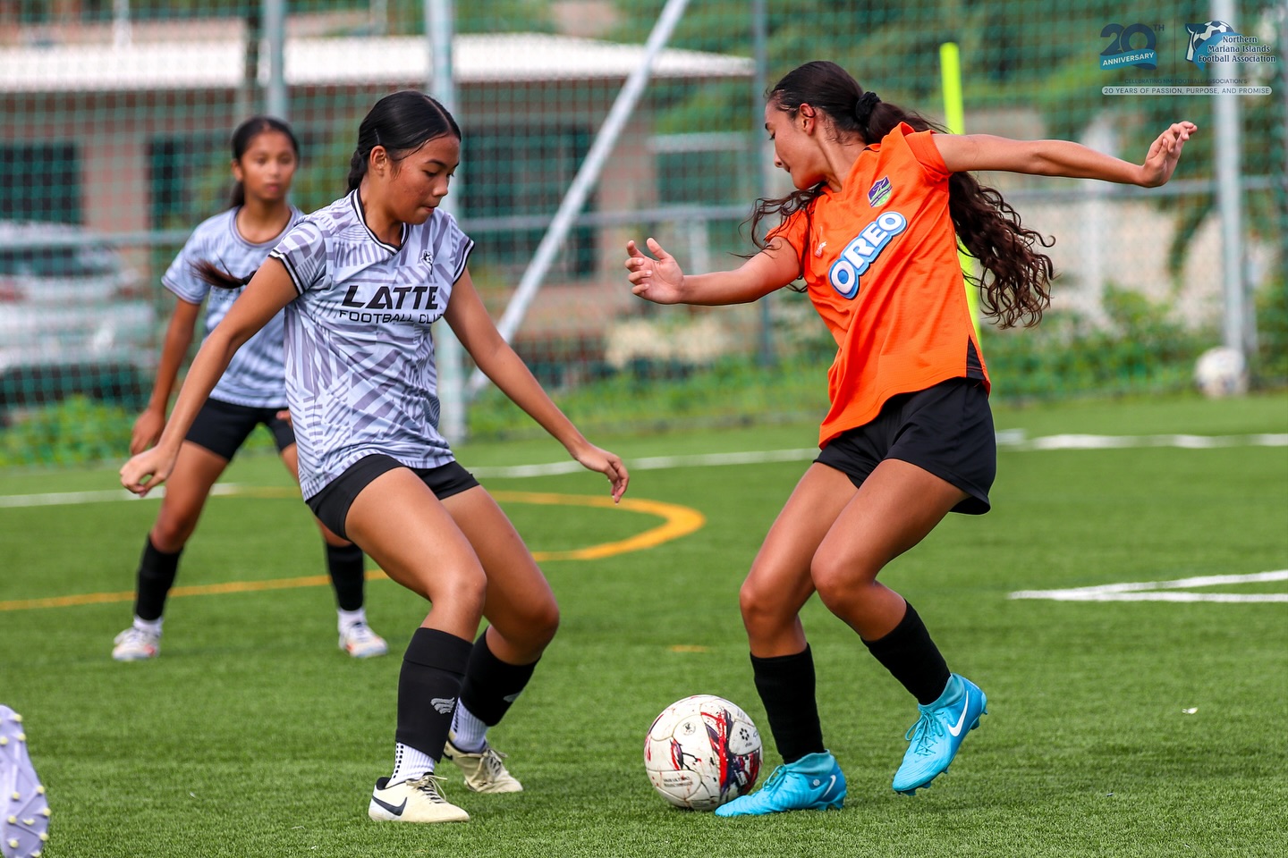 May be an image of football, soccer, grass and text