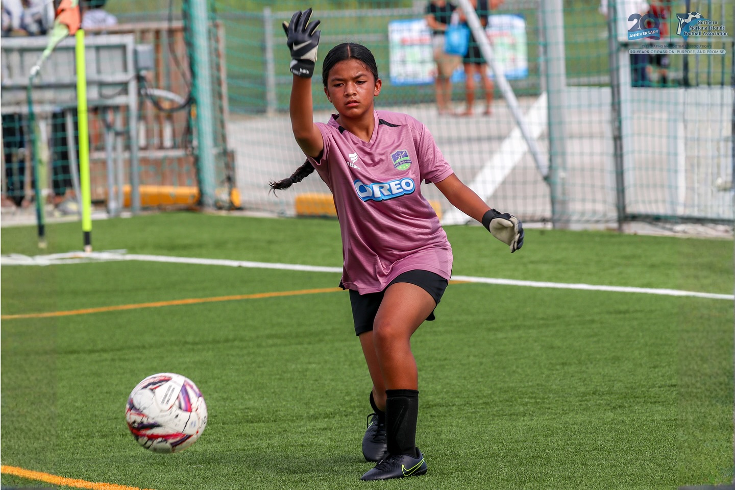 May be an image of football, soccer, grass and text