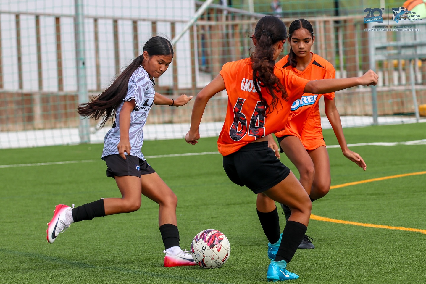 May be an image of football, soccer, grass and text