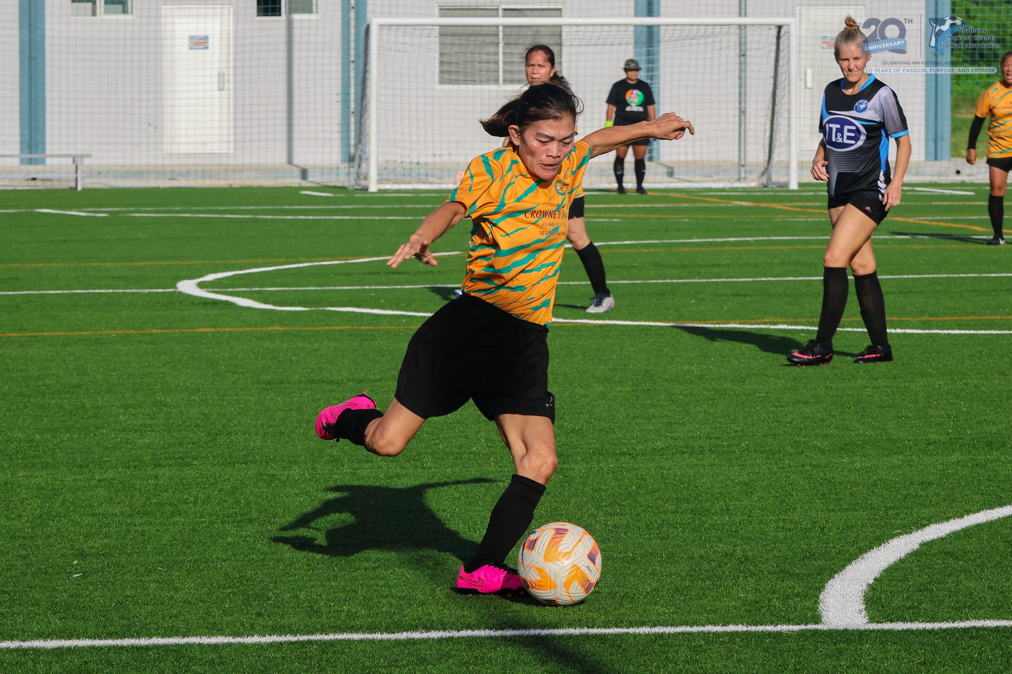 May be an image of soccer, football, grass and text