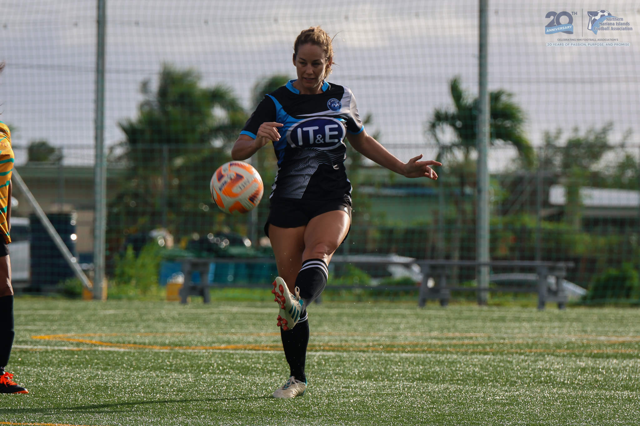 May be an image of soccer, football, grass and text