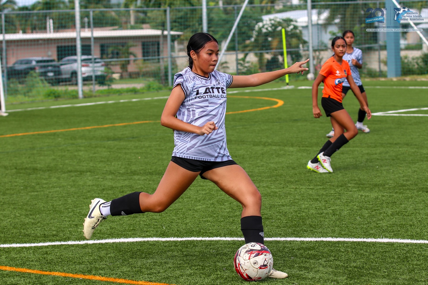 May be an image of football, soccer, grass and text