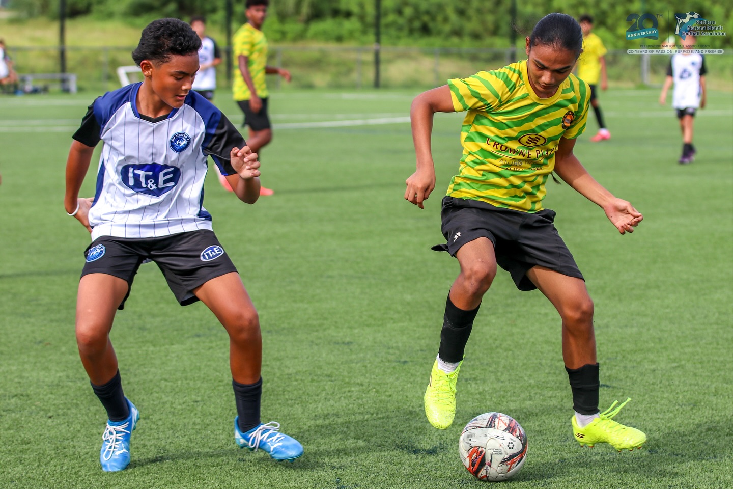 May be an image of football, soccer, grass and text