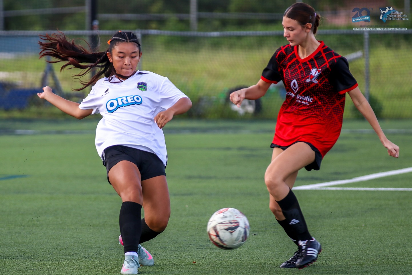 May be an image of soccer, football and text