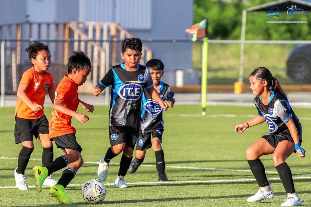 NMIFA - 581354118_18546496270007109_3206487334799157381_n