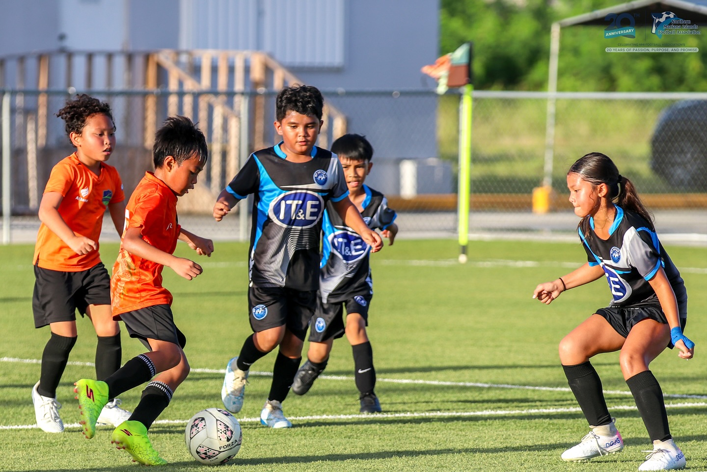 NMIFA - 581354118_18546496270007109_3206487334799157381_n