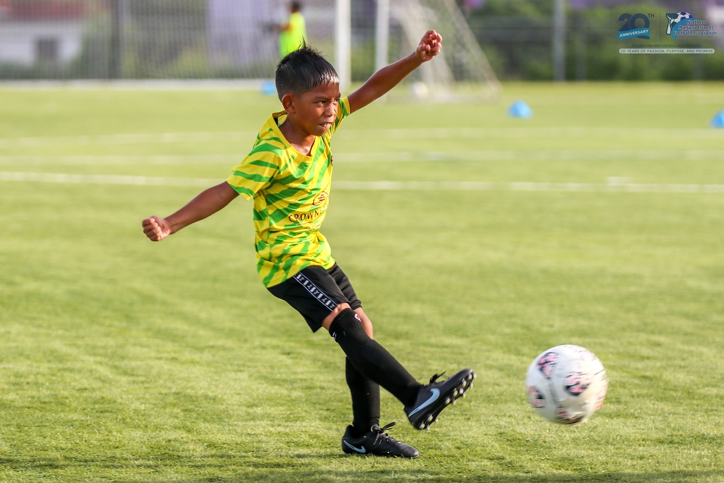 May be an image of soccer, football and text