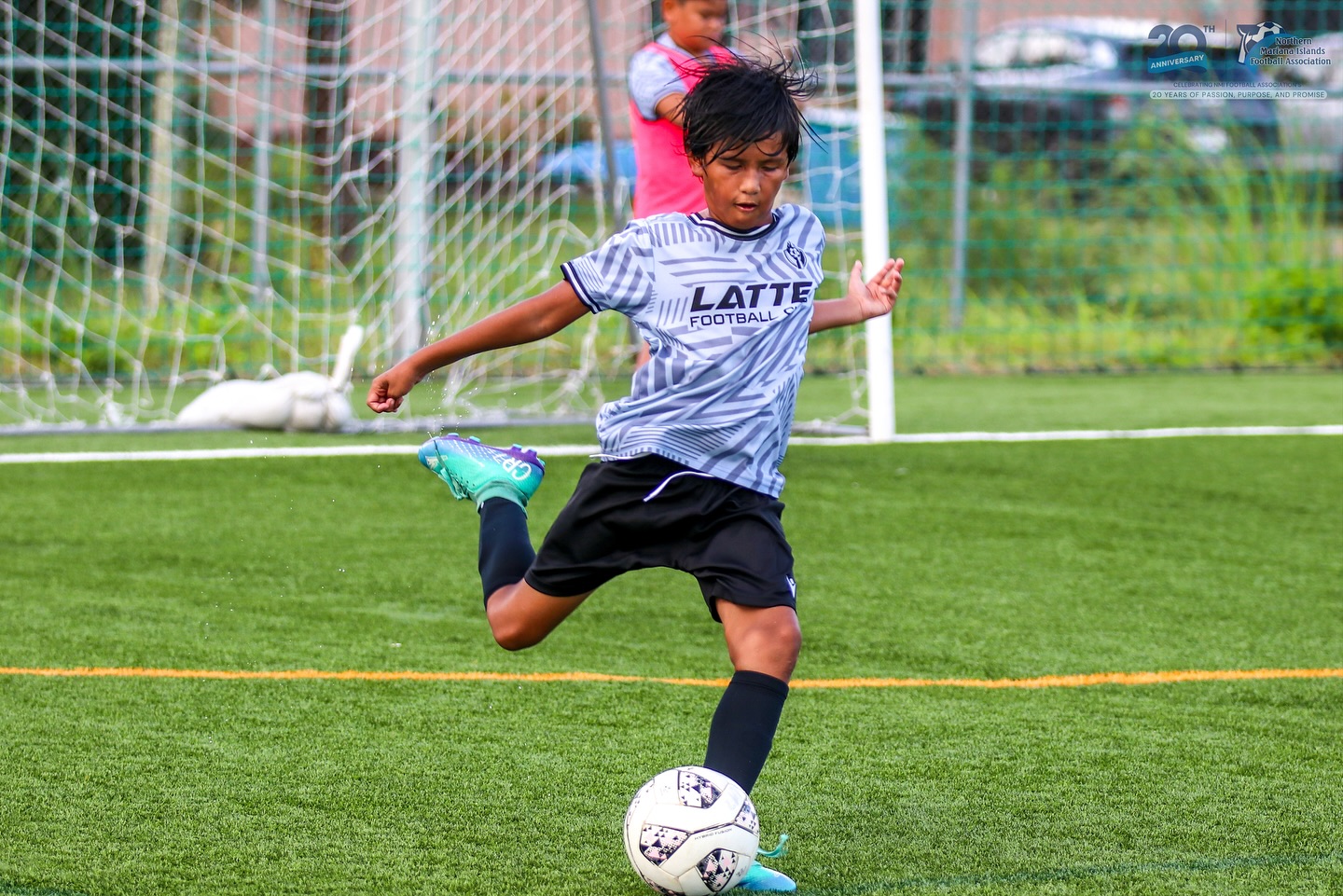 May be an image of football, soccer, grass and text