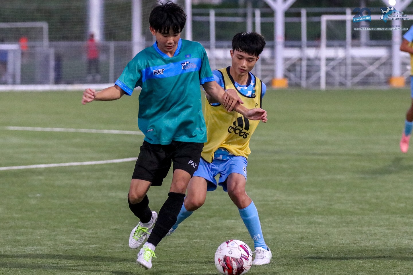 May be an image of soccer, football and text