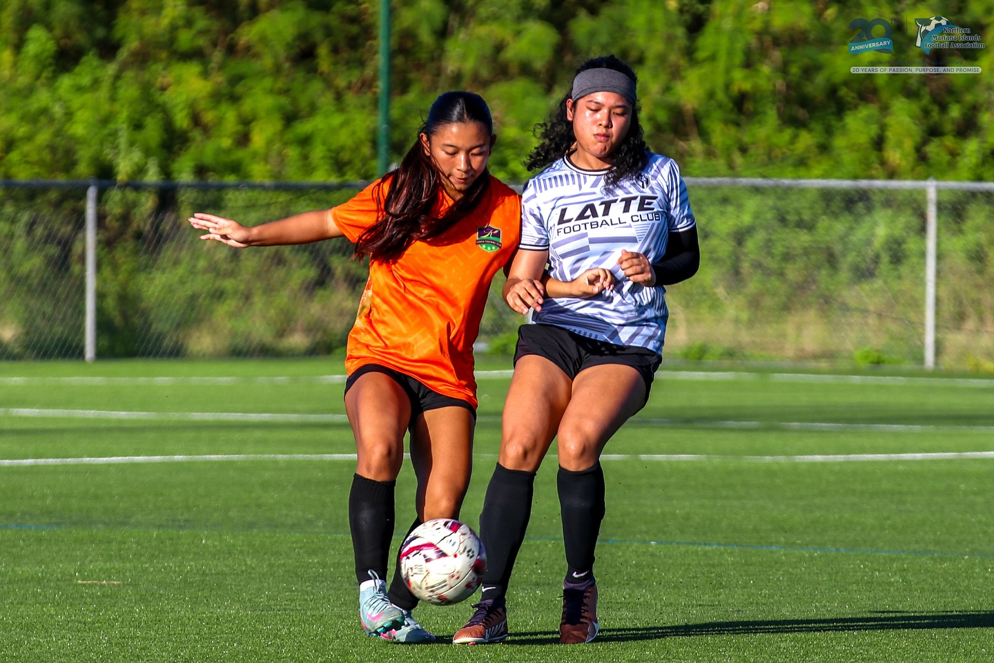 May be an image of soccer, football, grass and text