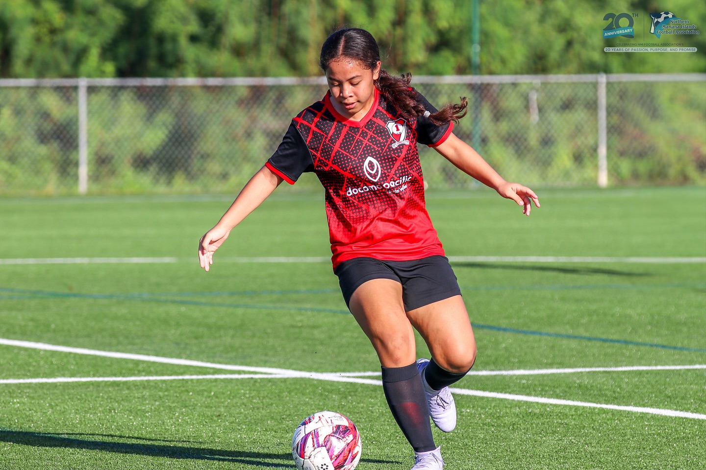 May be an image of soccer, football, grass and text