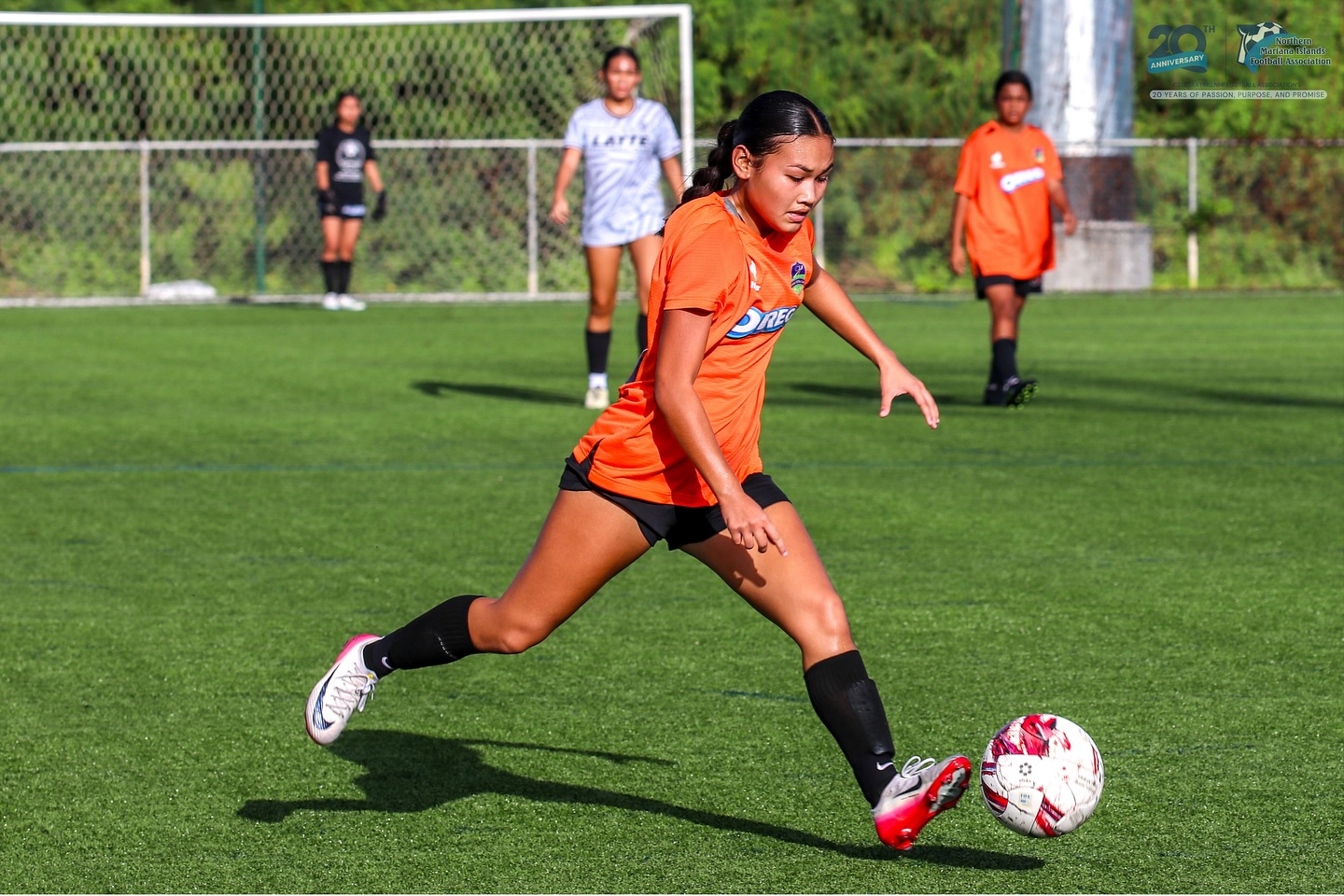 May be an image of soccer, football, grass and text